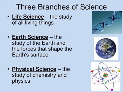 💄 The Three Branches Of Science Branches Of Science 2019 03 01