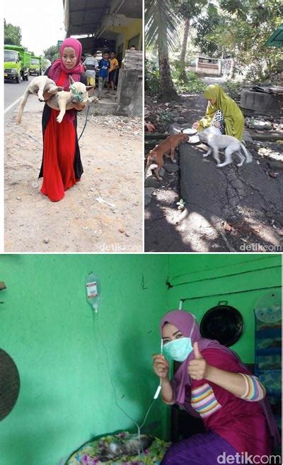 Wanita Berjilbab Perawat Anjing Liar Di Lombok Berita Umum