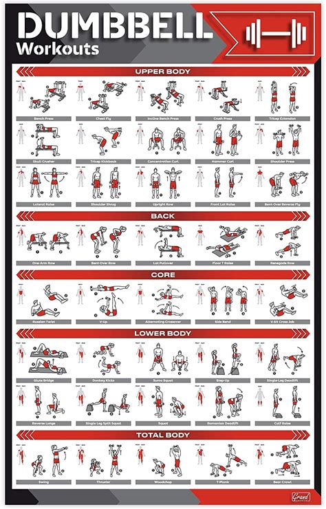 Accessories Perfect Dumbbell Exercise Poster For Home Gym