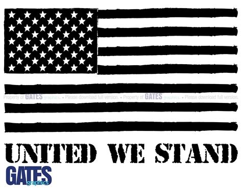 Black And White American Flag Vector Image