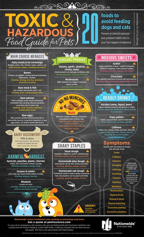 Toxic Food Guide For Pets Infographic Fnl