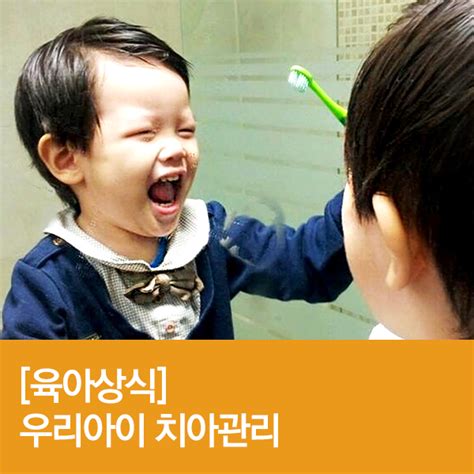 유치 영구치 우리 아이 치아관리 네이버 블로그