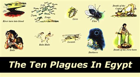 The 10 Plagues Of Egypt Happened Scientists The Standard
