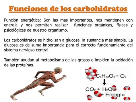 Carbohidratos Funsiones