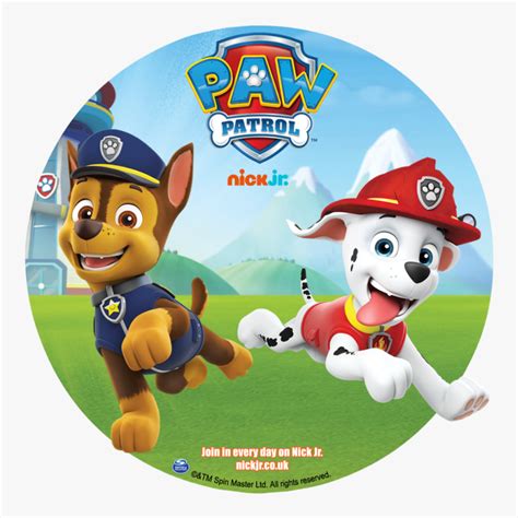 Paw Patrol Ct 9 Paper Lunch Plates Rubble Skye Chase Marshall