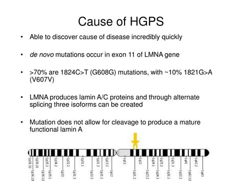Ppt Lmna And Its Role In Hutchinson Gilford Progeria Syndrome Hgps