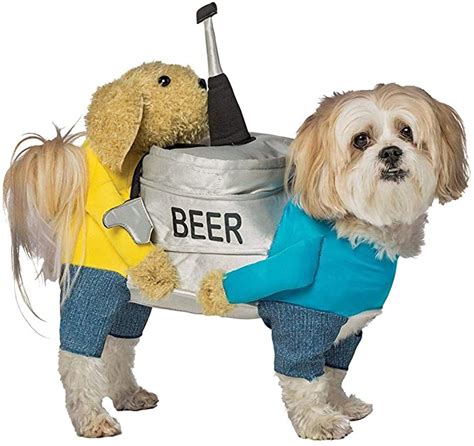 12 Cute And Funny Dog Halloween Costumes Pawfect Review