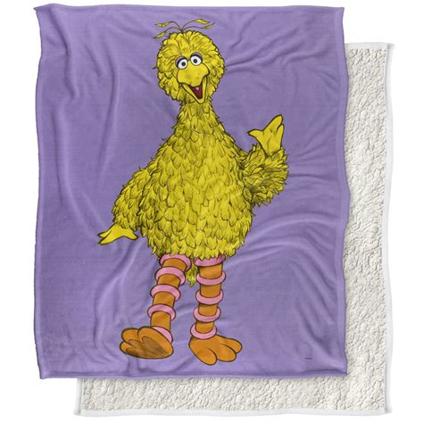 Sesame Street Blanket 50 X60 Big Bird Painted Silky Touch Sherpa Back Super Soft Throw