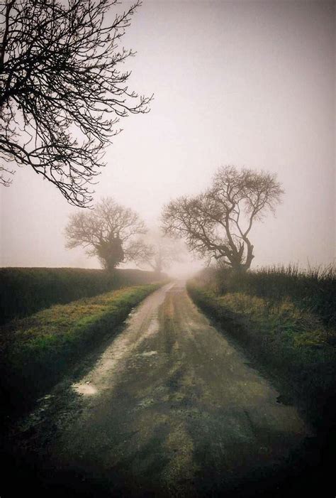 🇬🇧 Foggy Country Road Northamptonshire England By Ami