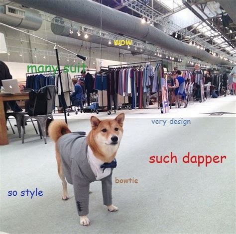 Doge Is An Actually Good Internet Meme Wow Doge Meme