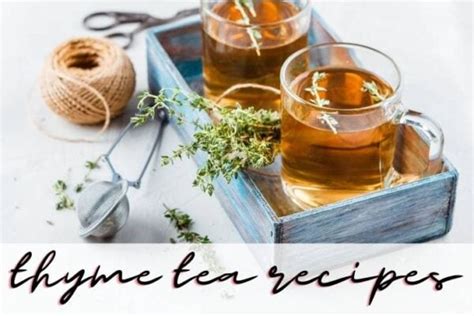Thyme Tea Benefits Plus How To Make Thyme Tea With Recipes