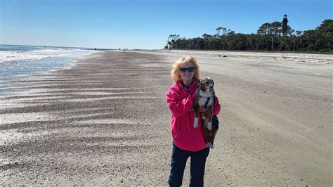 Are Dogs Allowed At Hunting Island State Park