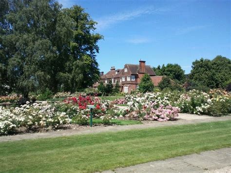 Royal National Rose Society Gardens St Albans 2020 All You Need To