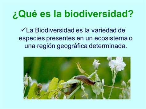Mensajes E Imágenes Para El Día Mundial De La Biodiversidad 22 De Mayo