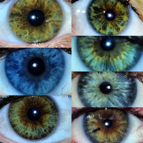 Pin By Tess Hopkins On Photosgraphics Pretty Eyes Photos Of Eyes