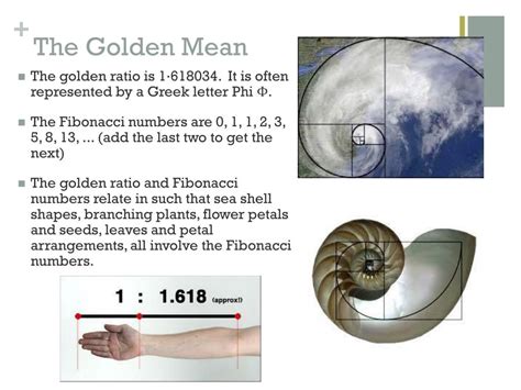 Ppt Proportion Scale And The Golden Mean Powerpoint Presentation Id