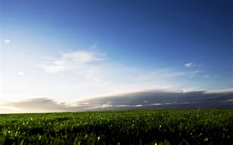 Grass And Sky Wallpaper 71 Images