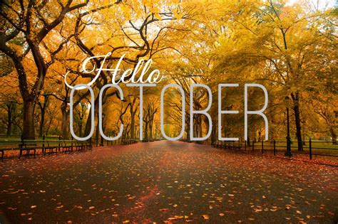 Hello October Quote With Autumn Trees Pictures Photos And Images For