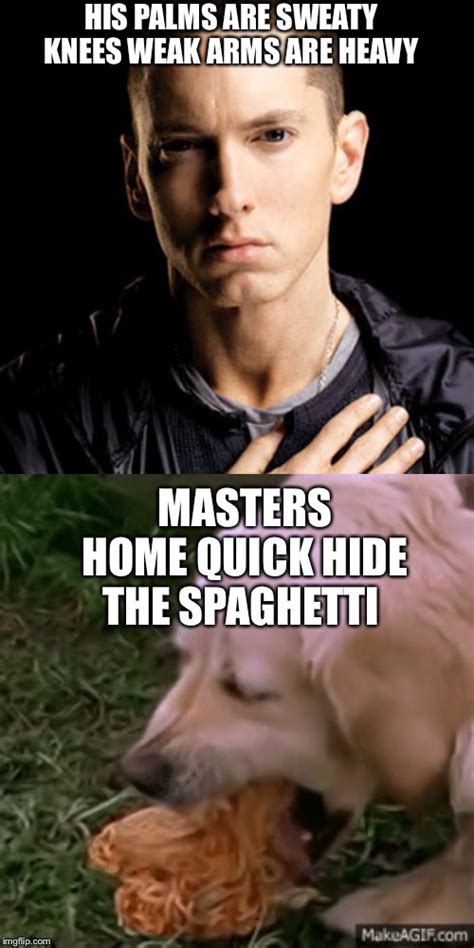 Image Tagged In Memeseminemdog Spaghetti Imgflip