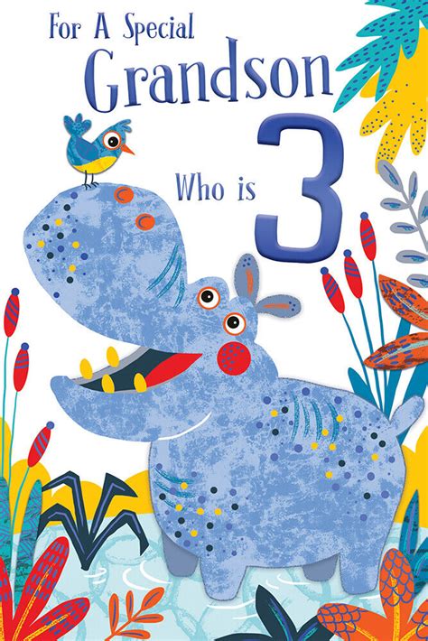grandson 3rd birthday card age 3 today cute hippo happy lovely verse ebay