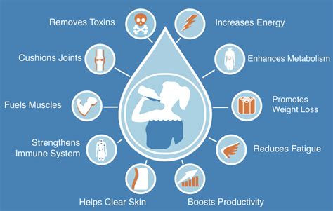 What Are The Benefits Of Staying Hydrated Vida Fitness