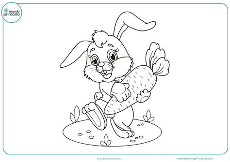 Dibujos Para Pintar De Conejos Infantiles Para Colorear Images And