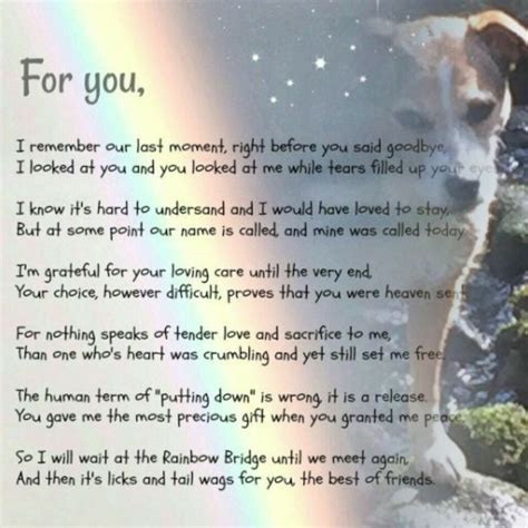 ~ this page has prayer to comfort you. Pin by Jodi Bieler on Pawprints left on my heart | Dog poems