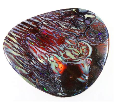 3120cts Wood Fossil Black Boulder Opal Ws264 Boulder Opal Opal