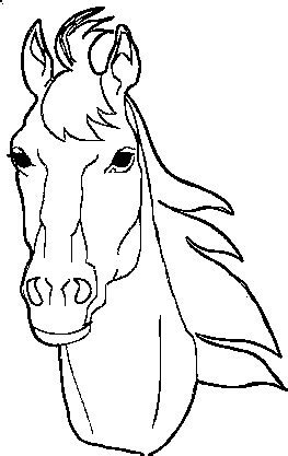 Kleurplaten paarden hieronder vind je 97 paarden kleurplaten. Horse Head Coloring Page - GetColoringPages.com