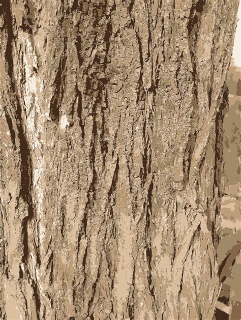 Tree Bark Texture Openclipart