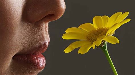 Why People Who Lose Their Sense Of Smell Are At Risk Of Dying