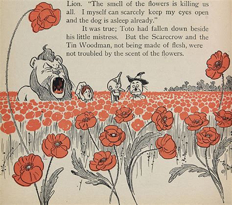 Plus, without the wizard of oz, we wouldn't have the fantastic soundtrack from wicked! Poppies - Journal