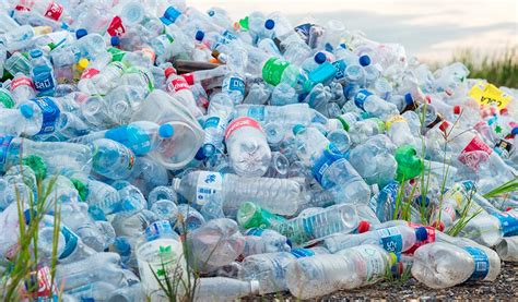 Mundo Plástico El Momento De Tomar Medidas Contra Los Desechos