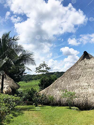 Embera Tribe Houses An Authentic Thatched Hut In The Indigenous Territory In Panama Editorial