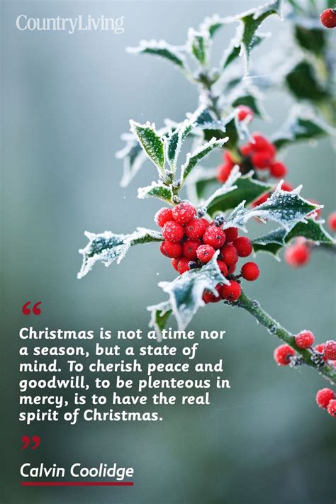 20 Merry Christmas Quotes Inspirational Holiday Sayings