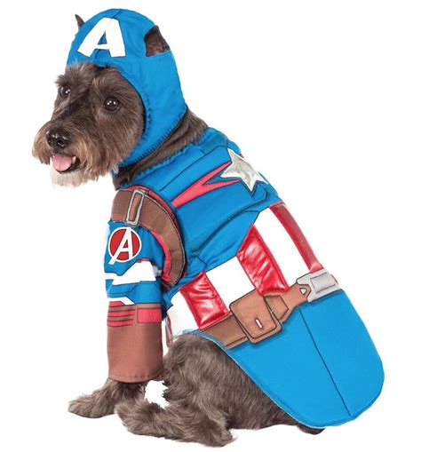 The Best Superhero Dog Costumes For Halloween 2019