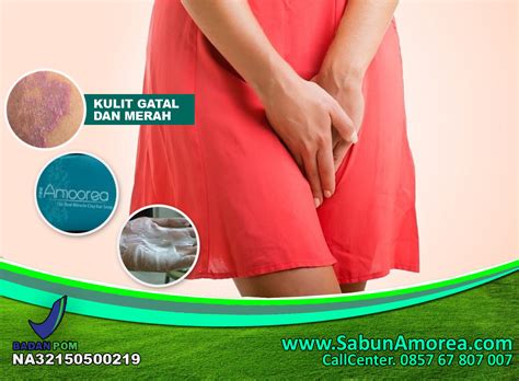 Holly sabun hijau antiseptik merupakan sabun kalium yang mengandung coconut oil dan bersifat antiseptik. Sabun Amoorea | Jual Sabun Amoorea | Amoorea Sabun: Sabun ...