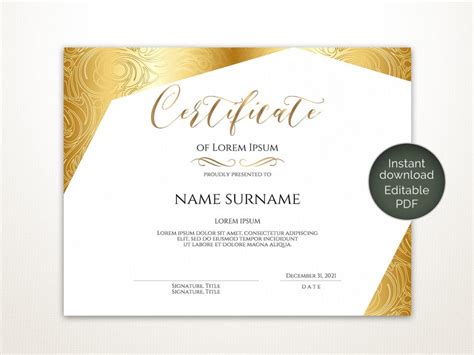 Blank Certificate Template Editable Printable Certificate Etsy