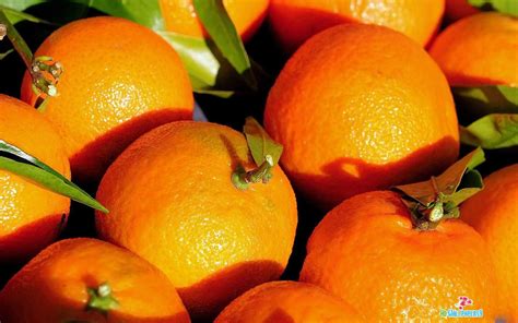 Attractive Desktop Orange Fruit Hd Wallpaper Download