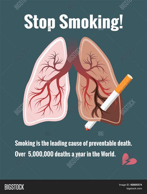 Lungs Smoking Stop Vector And Photo Free Trial Bigstock