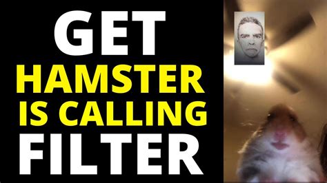 How To Get Hamster Facetime Filter On Snapchat Youtube