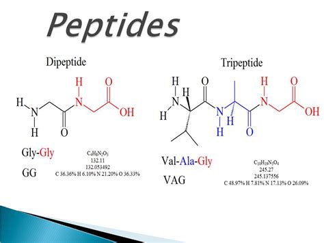 Peptide Types And Functions Online Biology Notes