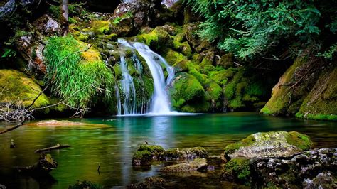 1920x1080px 1080p Free Download Crystal Spring Mountain Forest