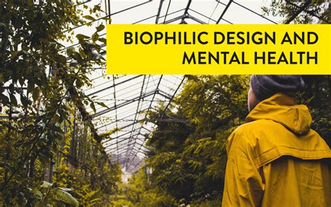 The Health Benefits Of Biophilia Daily Tips To Stay Healthy 247