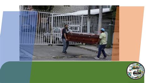 Para eles, parece que nenhum lugar é mais confortável do que aquela caixinha de papelão que você estava pronto para jogar fora. Com corpos de mortos por coronavírus nas ruas, cidade do Equador recebe doação de caixões de ...