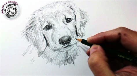 T Cnicas Y Tips De Dibujo Con L Piz De Grafito Y C Mo Dibujar Un Perro