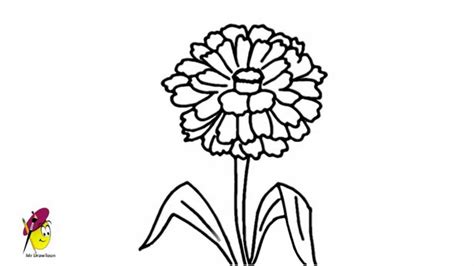 The blooming lotus flower is very easy to draw. Zinnia Flower - how to draw Flowers - YouTube