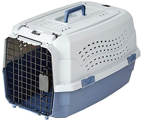 Amazonbasics Two Door Top Load Hard Sided Pet Travel Carrier 23 Inch