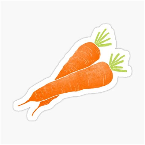 Illustration Of Fresh Carrot Sticker For Sale By Iswenyi Redbubble