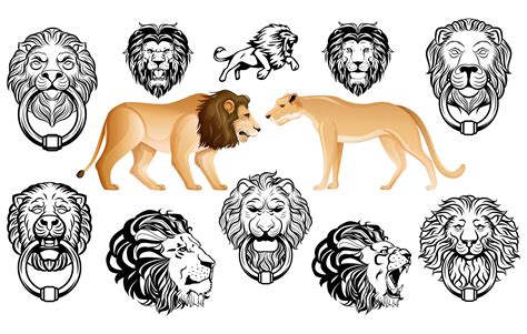 Lions Svg Lion Head Design Lion Collection Lion Bundle Lion